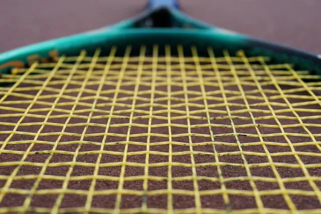 Close-up of professional tennis racquet strings and frame